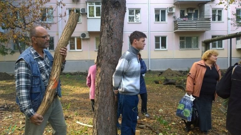 Экологам удалось остановить вырубку деревьев в Краснодаре