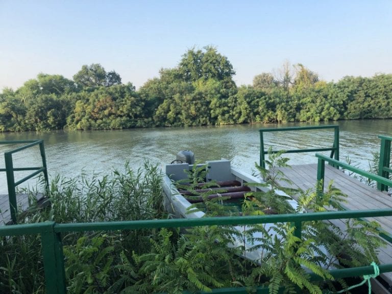На реке Казачий ерик перевернулся «Тунец» с 11 пассажирами