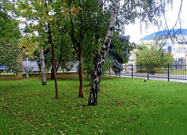 Забор, которым застройщик огородил парк в Краснодаре, демонтируют