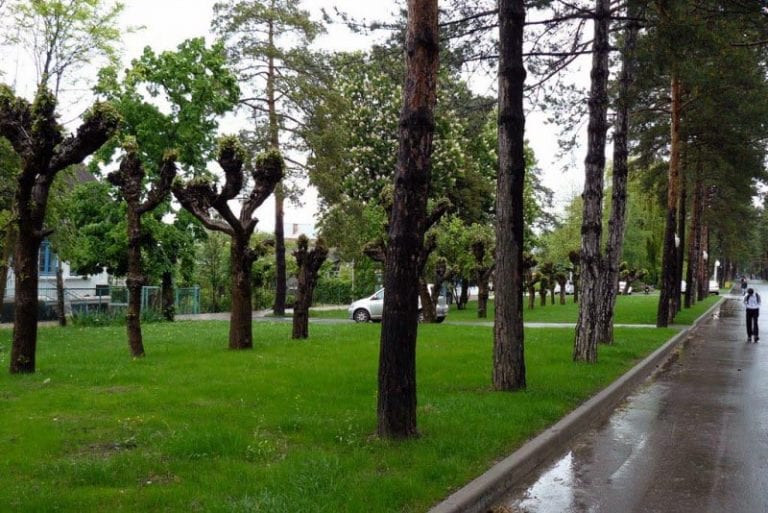 После смертельного ДТП на аллее в Горячем Ключе установят вазоны с цветами