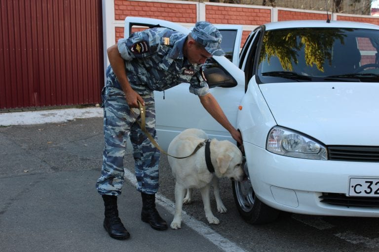 Полицейского из Сочи признали виновным в хранении наркотиков