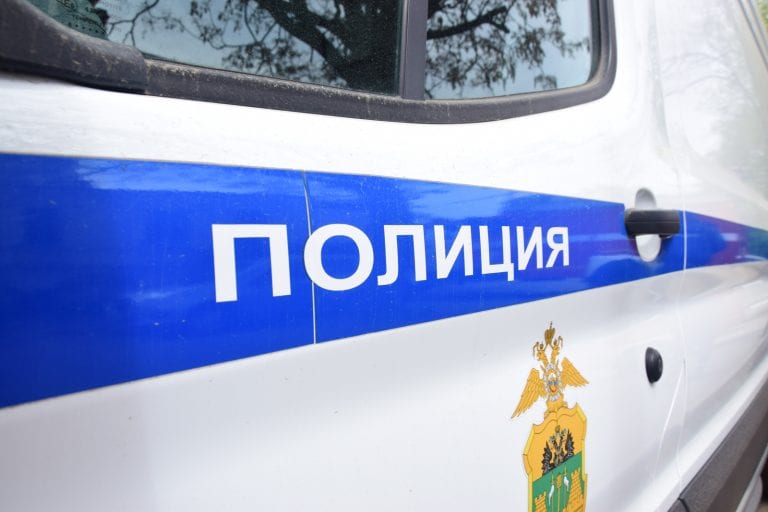 В Краснодаре задержали вора хвойных деревьев и кустов