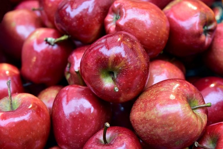 На Кубани из-за непогоды урожай плодов сократится на 20%