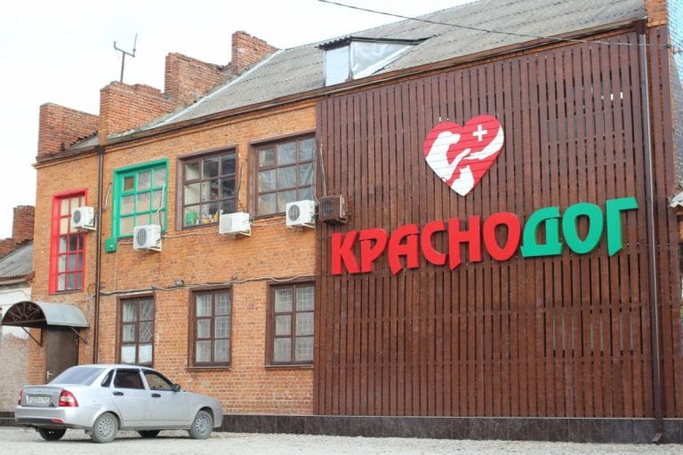 Краснодарские мошенники собирают деньги под видом волонтеров «Краснодога»