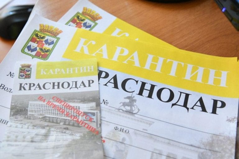Общественницу из Краснодара хотят обвинить в преступлении из-за поста на фейсбуке. Силовики считают, что она изготовила фейк о карантинных пропусках
