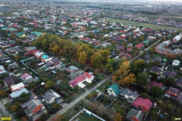 В роще посёлка Южного планируют сохранить редкие деревья