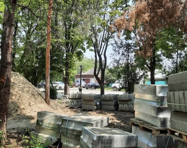 В Краснодаре при благоустройстве парка высохли деревья
