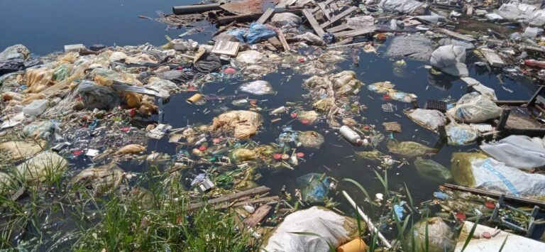 В Краснодаре собственник участка с нелегальной свалкой заявил, что не знал о ней