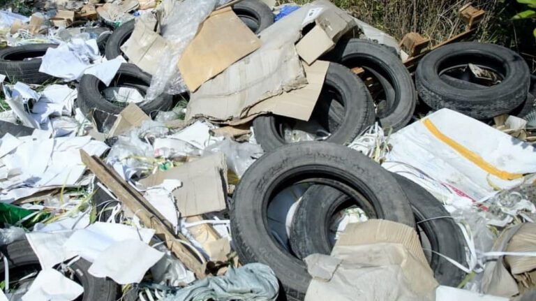 В Краснодаре за две недели нашли 77 несанкционированных свалок