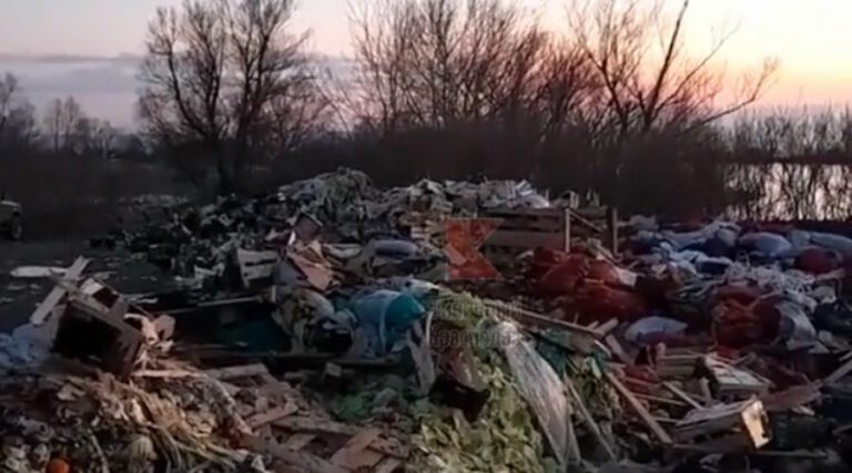 В Старокорсунской нашли незаконную свалку