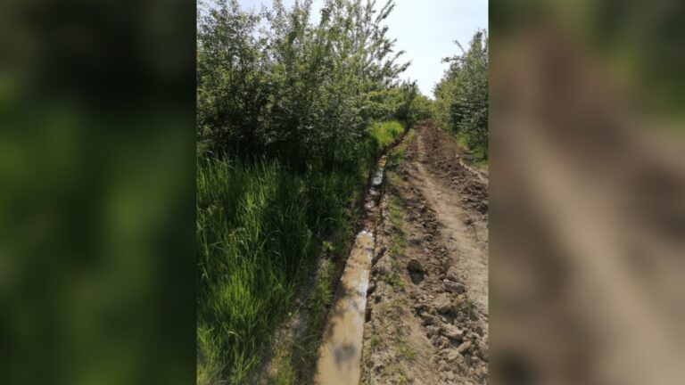 На Кубани многодетным семьям выделили участки без дорог и коммуникаций