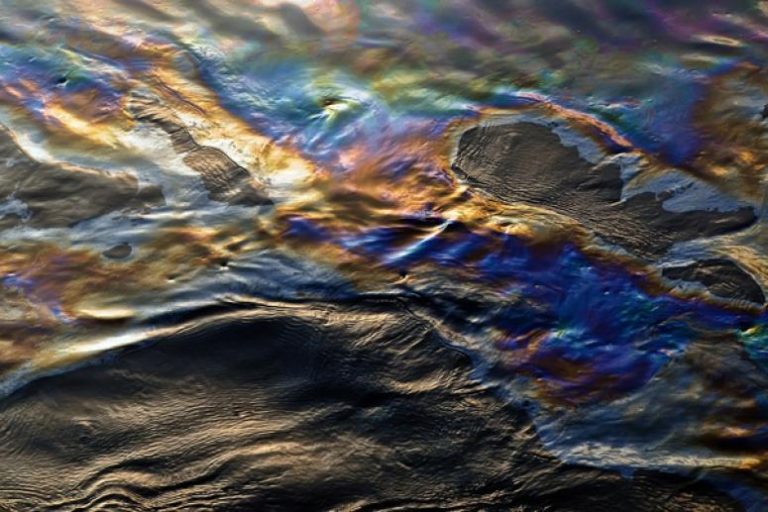 Гринпис сравнил площадь нефтяного пятна в морпорту Новороссийска с 1,5 Красной площади в Москве