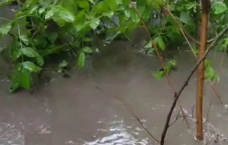 На Кубани в Лабинском районе снова топят дома и участки