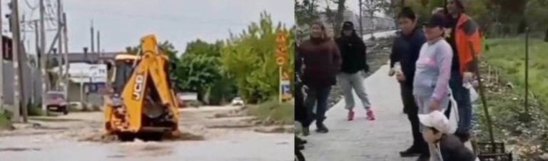 Жителям Краснодара приходится самим высаживать деревья, а также убирать затопленные дождём улицы