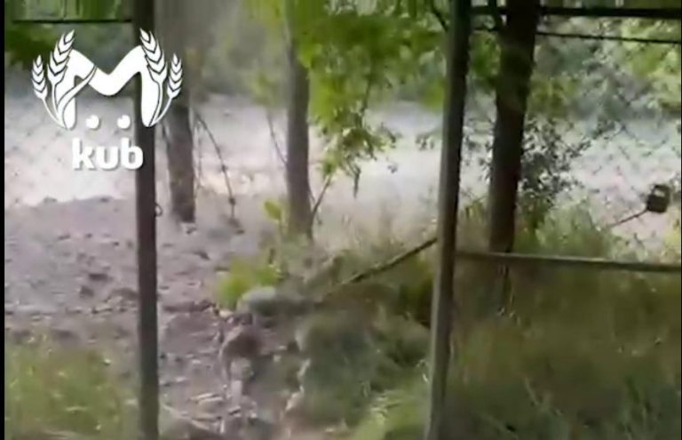 В Сочи на базе отдыха ребенок провалился в яму с раскаленными углями