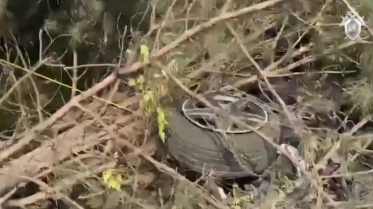 Глава СК Бастрыкин поручил возбудить дело о смертельном ДТП, в котором виновен судья Майкопского городсуда