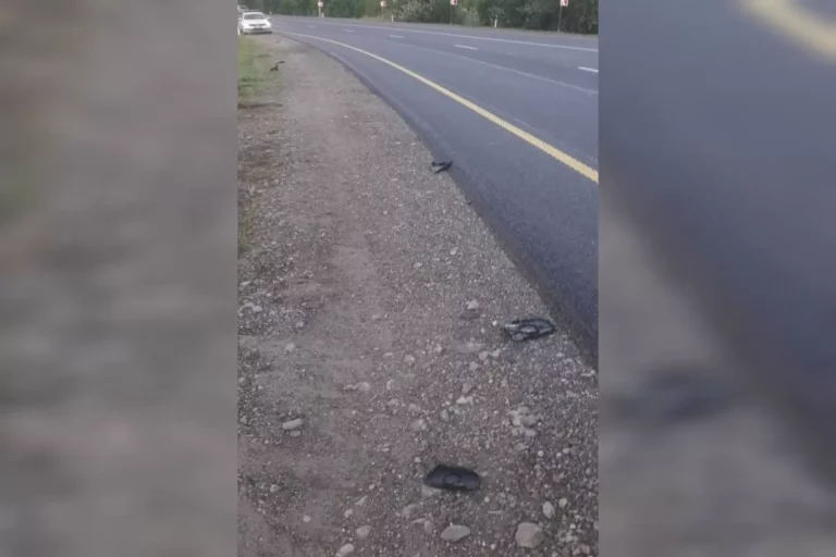 Скрылся с места ДТП: В Туапсинском районе водитель сбил пешехода