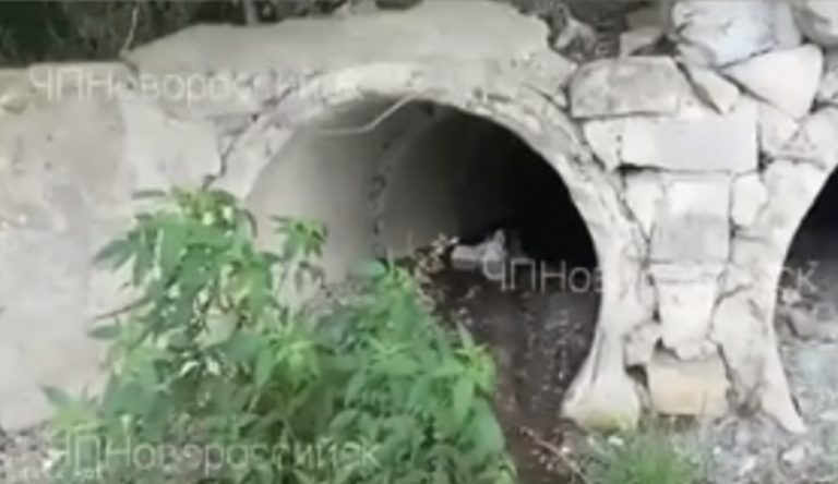 Канализационные стоки сливаются в озеро Абрау