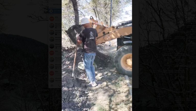 Жители Краснодара пожаловались на повреждённые деревья и плитку на новом бульваре