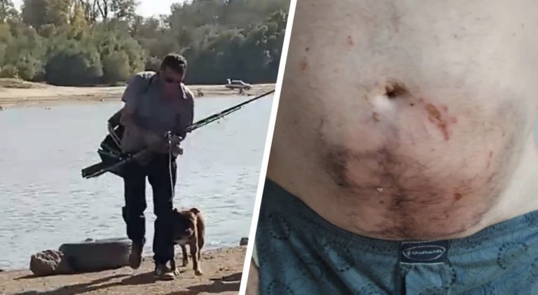 Жители ГМР пожаловались на агрессивного пса, который напал уже на трёх человека