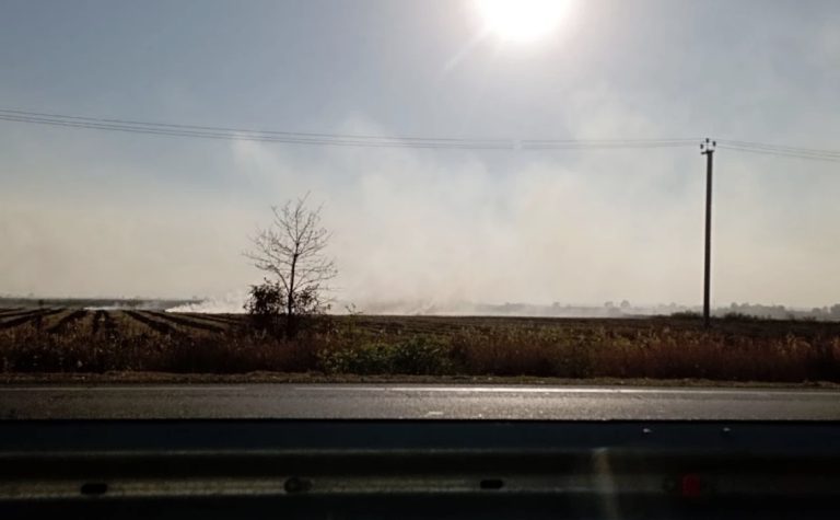 Жители Краснодара пожаловались на запах гари