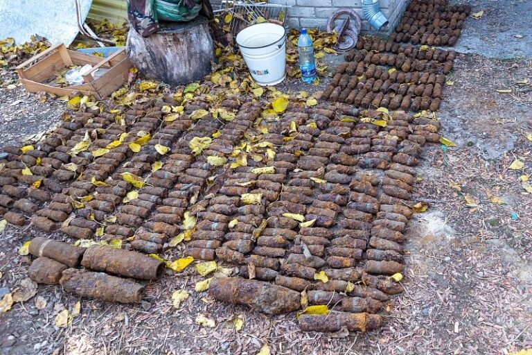 На Кубани специалисты Росгвардии уничтожили порядка 500 боеприпасов времен Великой Отечественной войны