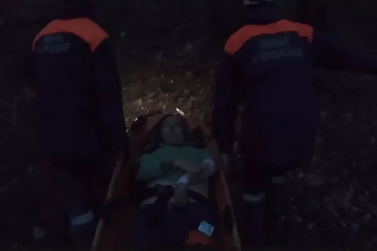 В лесу под Сочи пьяный водитель за рулем «Нивы» врезался в дерево