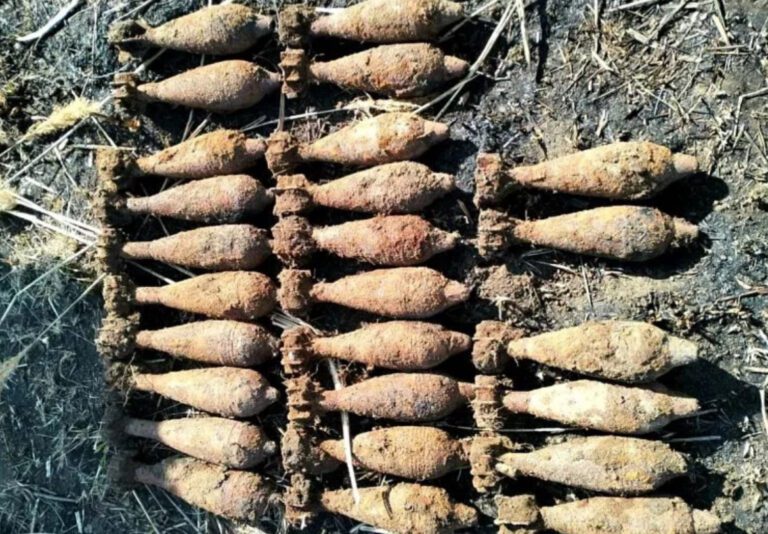 Житель Кубани выкопал на своём участке 26 мин времен Великой Отечественной
