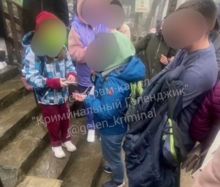 Две женщины подрались, стоя в очереди в «Сафари-парк» Геленджика. Полиция разберется