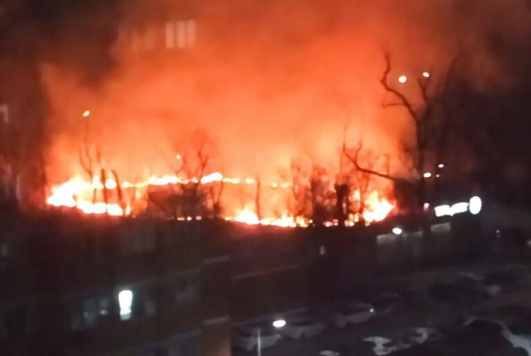 В Новороссийске подожгли Цемесскую рощу
