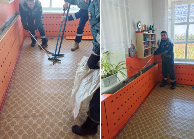 На Кубани в детский сад заползла змея