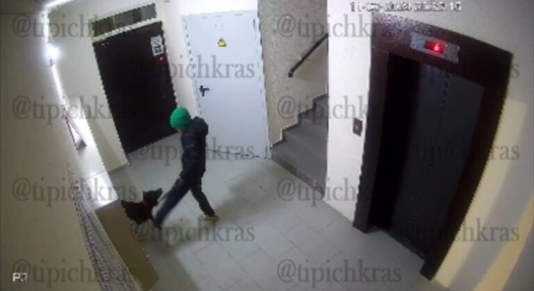 В Краснодаре школьник избивал собаку в подъезде многоэтажки