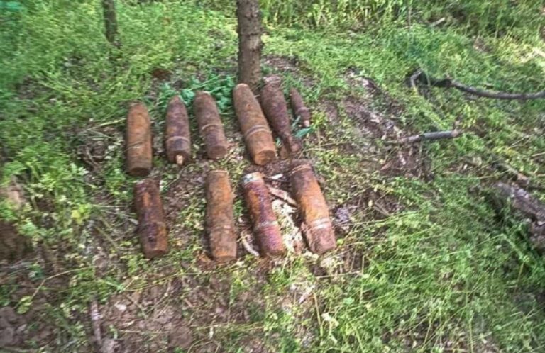 Во время прогулки по лесу кубанец нашел 17 боеприпасов времен Великой Отечественной войны