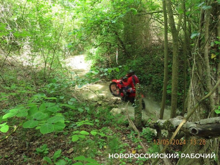 В Новороссийске мотоциклисты провели гонки в ручье, где водятся редкие животные