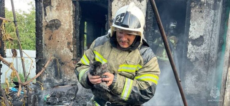 В кубанской станице пожарные спасли карликовых кроликов