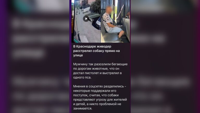 Сотрудники краснодарской полиции установили личность стрелявшего в собаку из аэрозольного пистолета
